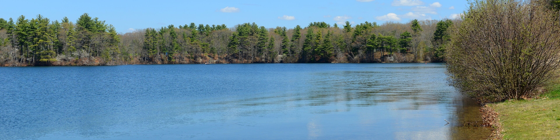 A calm lake surrounded by trees and a clear sky.