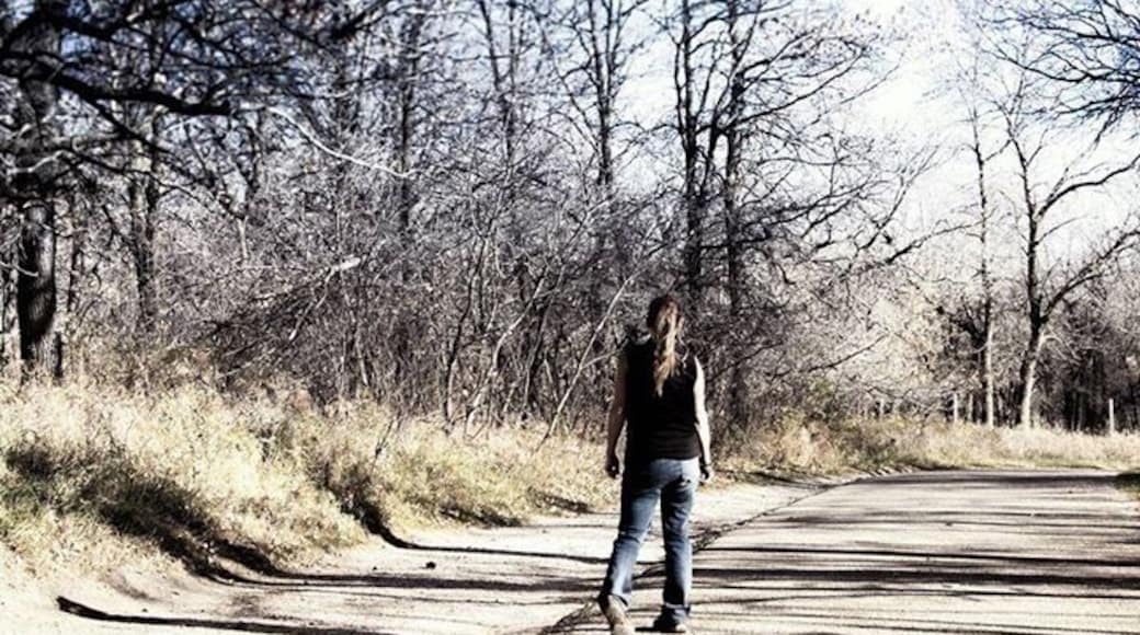 Incredible hiking at Sully ... nice natural wood lined trails!