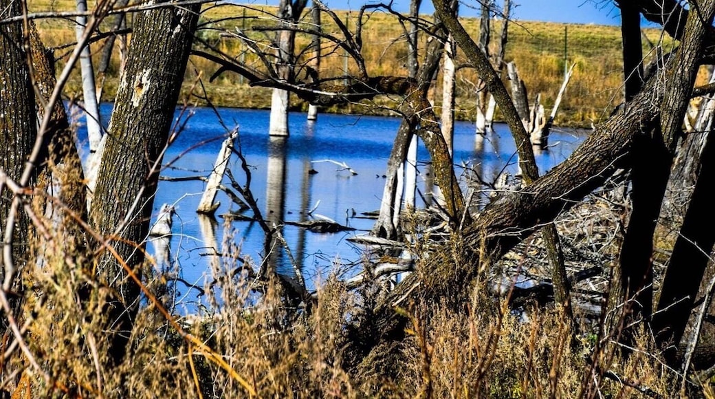 Sullys Hill National Game Preserve is a National Wildlife Refuge and nature center located on the shore of Devil's Lake in Benson County, North Dakota, within the Spirit Lake Tribe reservation.