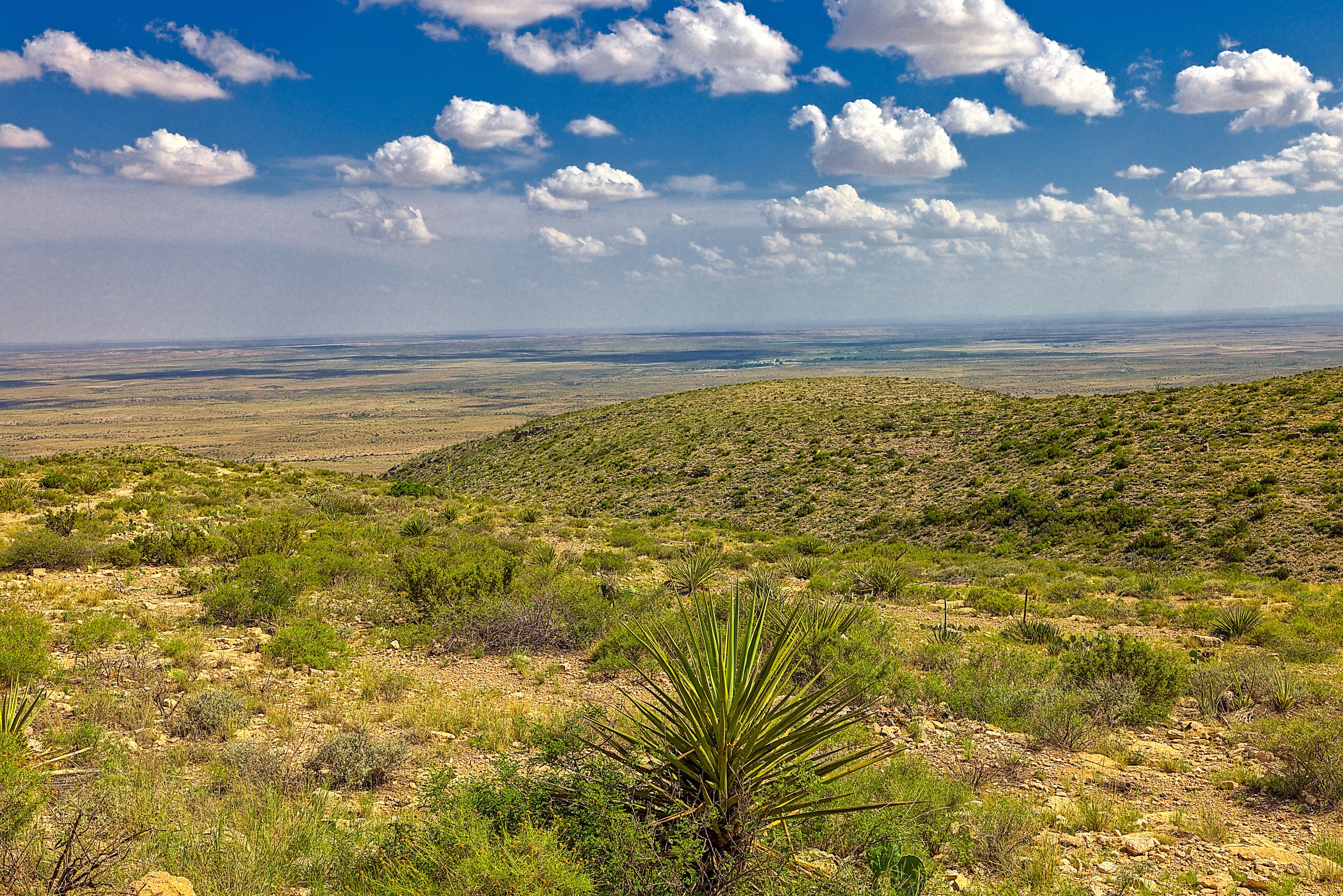 Scenic overlook from atop of the Carlsbad Caverns, Carlsbad Caverns National Park, overlooking the Chihuahuan Desert of southeastern New Mexico.