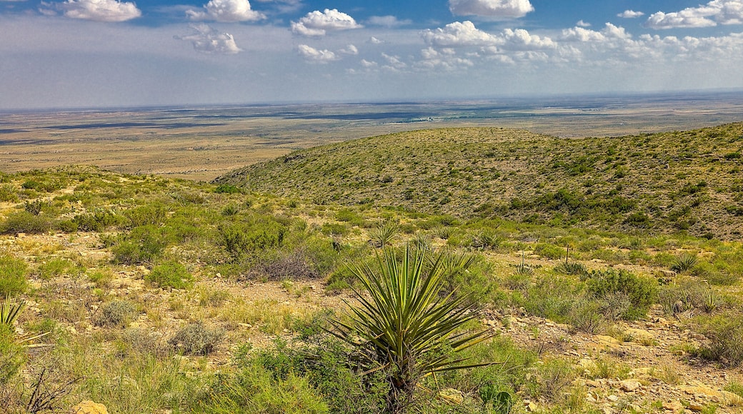 Scenic overlook from atop of the Carlsbad Caverns, Carlsbad Caverns National Park, overlooking the Chihuahuan Desert of southeastern New Mexico.