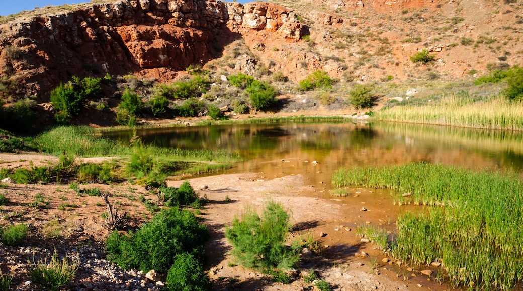 Bottomless Lakes State Park