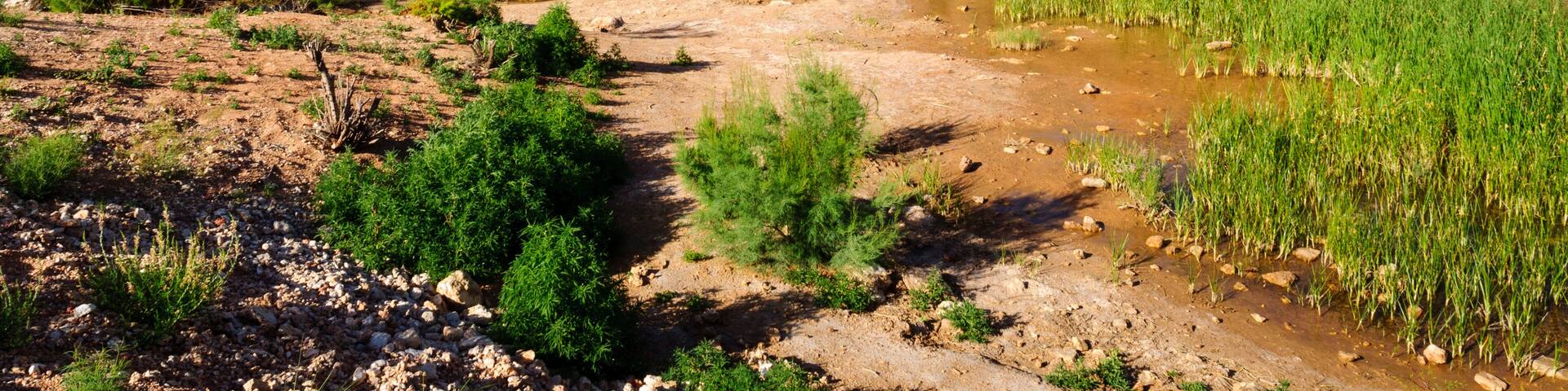 Bottomless Lakes State Park