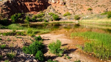 Bottomless Lakes State Park
