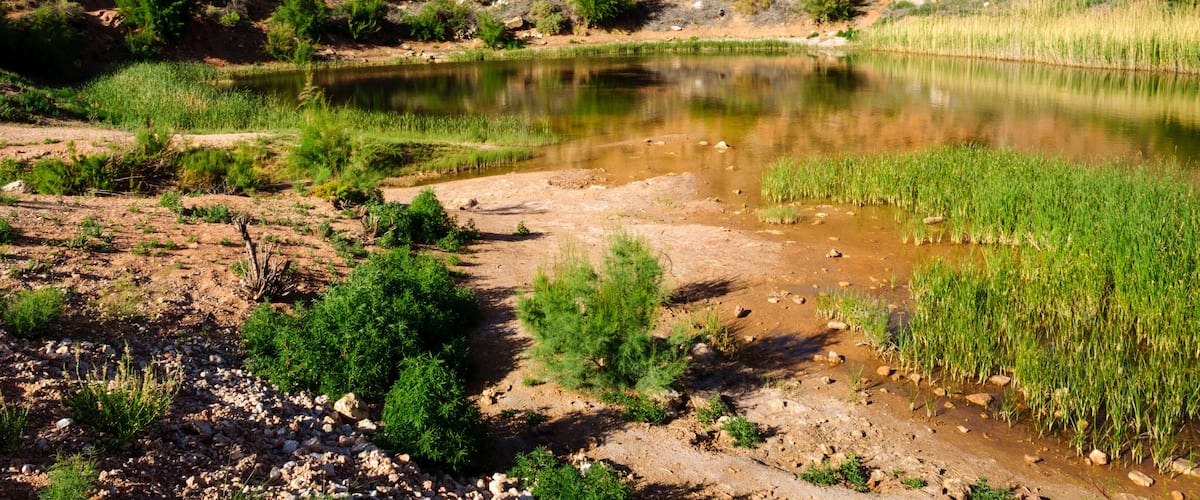 A river flowing through a rocky landscape with sparse vegetation and a clear blue sky.