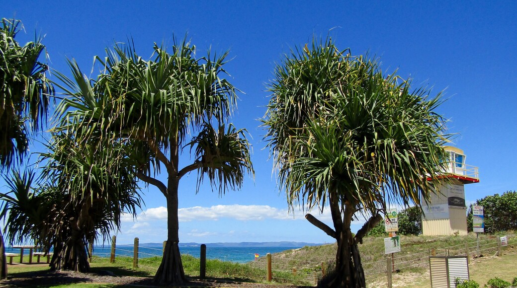 Bribie Island one of three islands that shield Brisbane and it surrounds from the Pacific Ocean . About 1 hour drive from Brisbane CBD connected via a bridge .