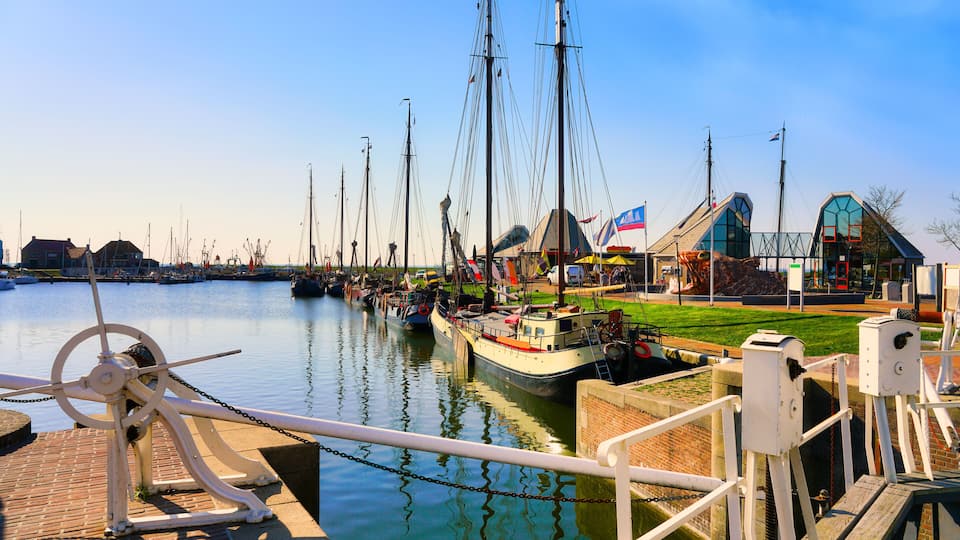 A harbor with several sailboats docked, a large building with a glass facade, and a grassy area with a flag.