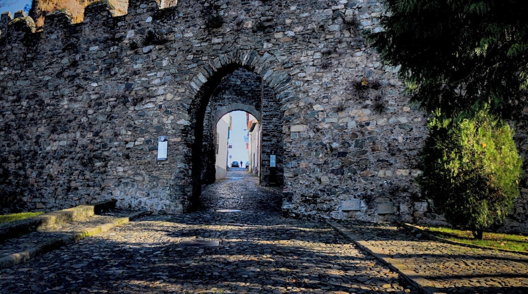 Visiting the #beautiful #medieval #town of #Braganza #Portugal
#arch #Architecture #structure #Castle #City #day #Entrance #europe #Gate #historic #history #Minho #old #outdoors #photography #streetphotography #Travel #TravelPhotography #Traveling #Wall #braganca
