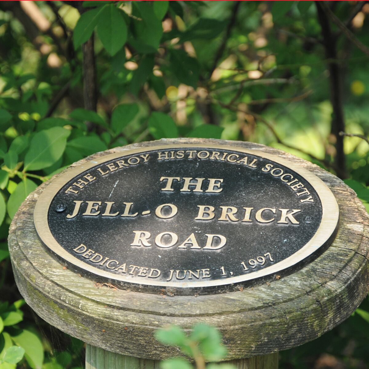 Mini Takes the States 2014 Road Rally Buffalo to Bethlehem Leg: 

Follow the JELL-O brick road !!

 You can help support the preservation of the history of Jell-O buy making a donation and dedicating a brick to the JELL-O brick road.

Welcome to the Birthplace of JELL-O in LeRoy, NY The Gallery has a new exhibit that focuses on Bill Cosby's influence with their marketing for the last 30 years. Hard to think of JELLO without the visual image of Bill with his sly grin and spoon.

 #MTTS2014 #minitakesthestates #go11