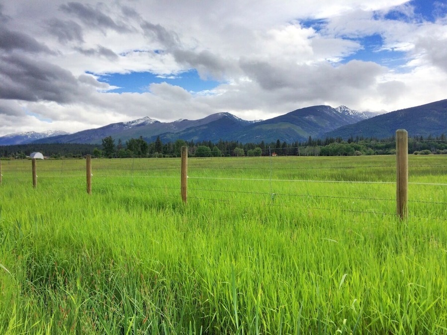 The road on the way to the Bear Creek Trailhead offers this stunning view of the Bitterroot Mountains. Took my breath away.
If it hadn't been a rainy day, I would've loved to explore those trails more. I can't wait to return.