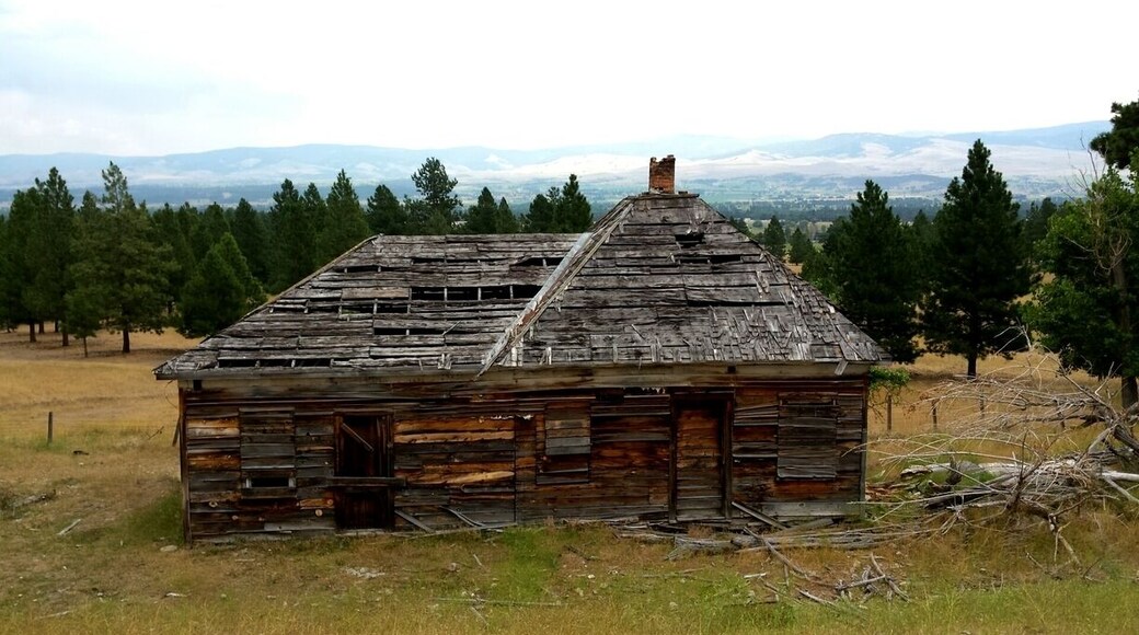 An old abandoned house outside of Victor
