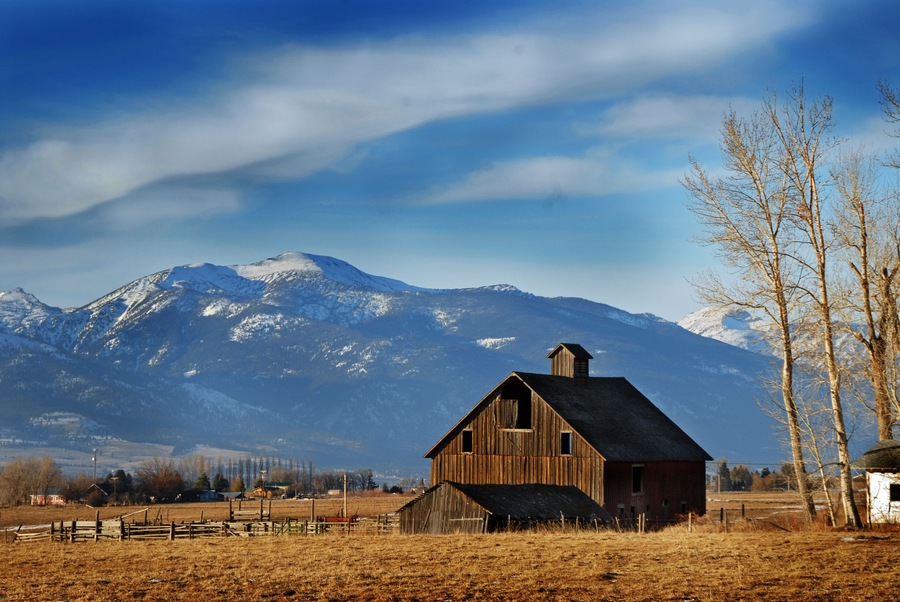 Bitterroot Barn, Victor MT