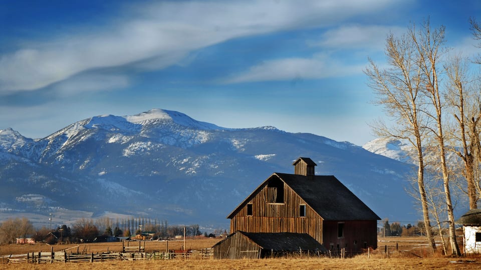 A rustic barn in a field with a snow-capped mountain in the background.