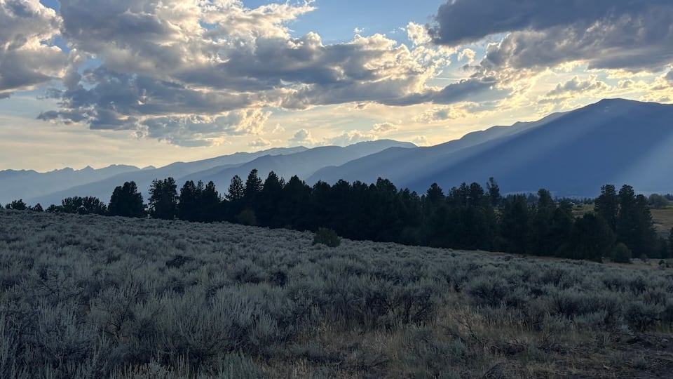A mountainous landscape with a field of shrubs and a line of trees under a partly cloudy sky.