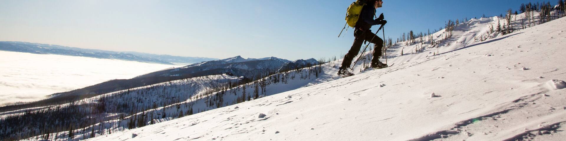 Skier ascending snowcapped hill, Victor, Montana, USA