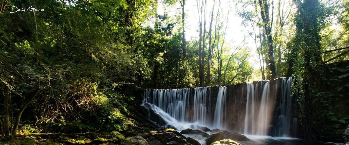 A waterfall in a forested area with moss-covered rocks and dense greenery.