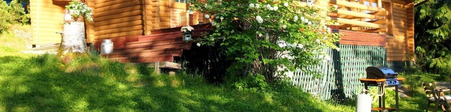 Traditional Finnish summer cottage by the lake.