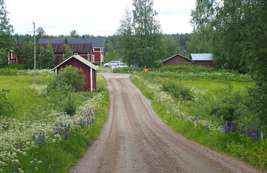 Forests, fields and roadside flowers - Typical Finnish countryside.