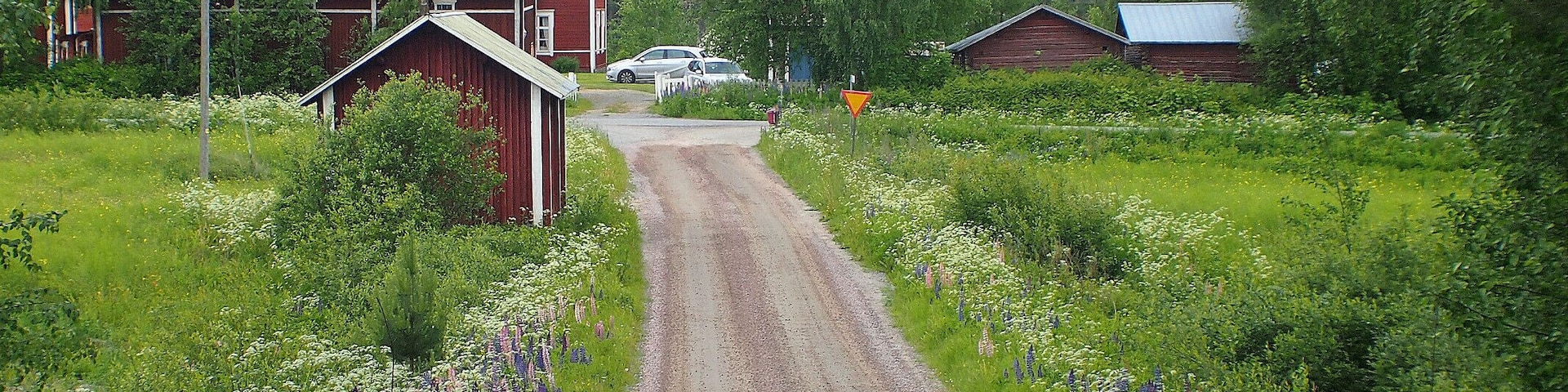 Forests, fields and roadside flowers - Typical Finnish countryside.