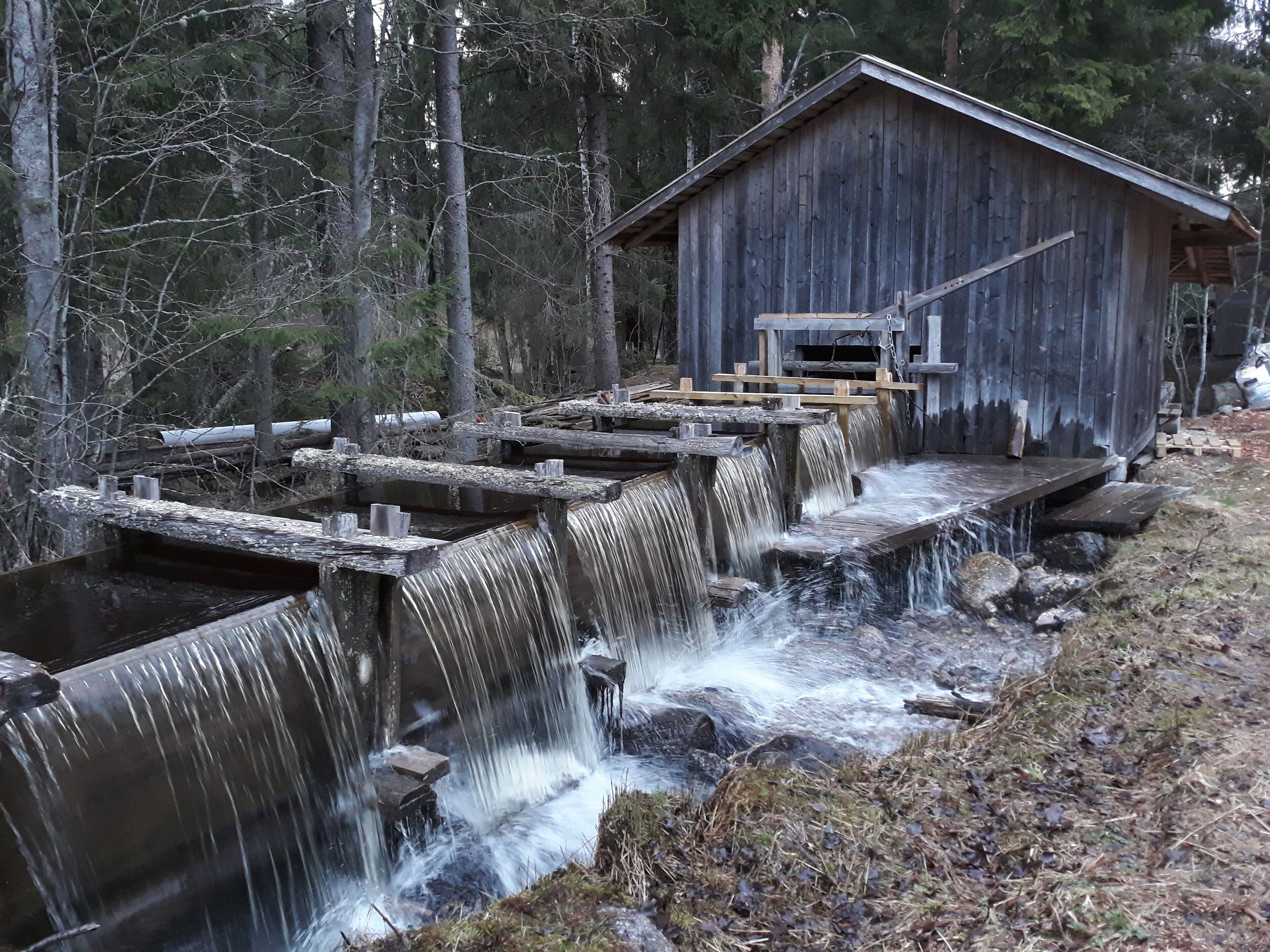 A wooden mill with a water wheel and wooden walkways.
