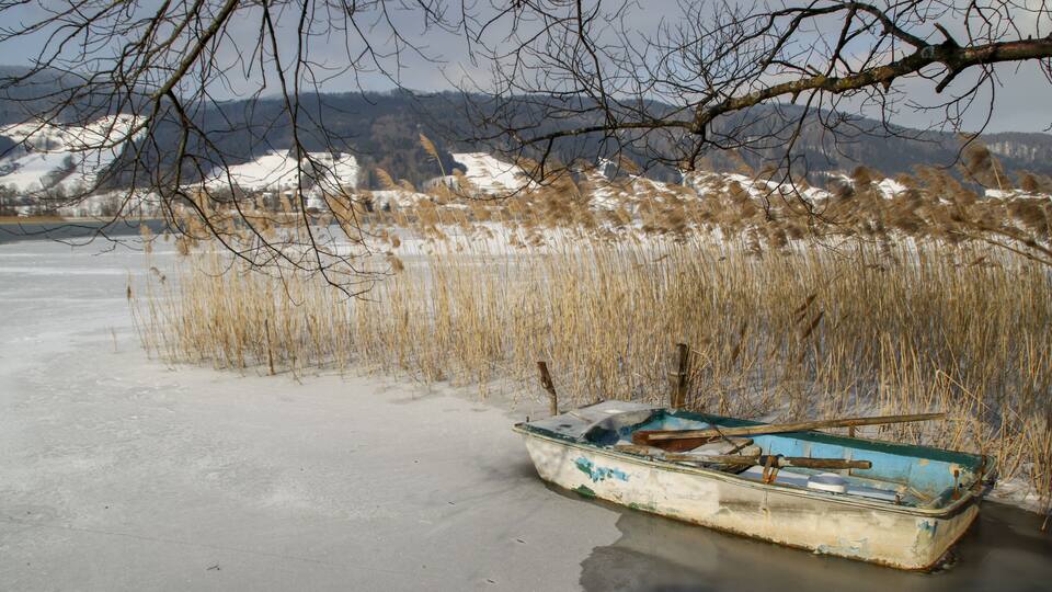 A frozen lake with a small boat and reeds in the background.