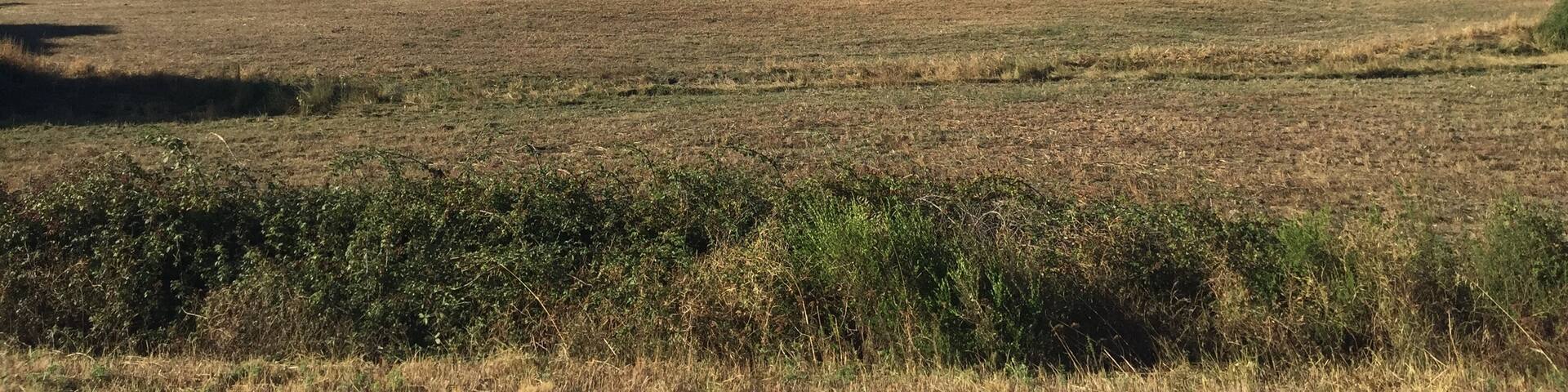 Image d'Aggius, 2016