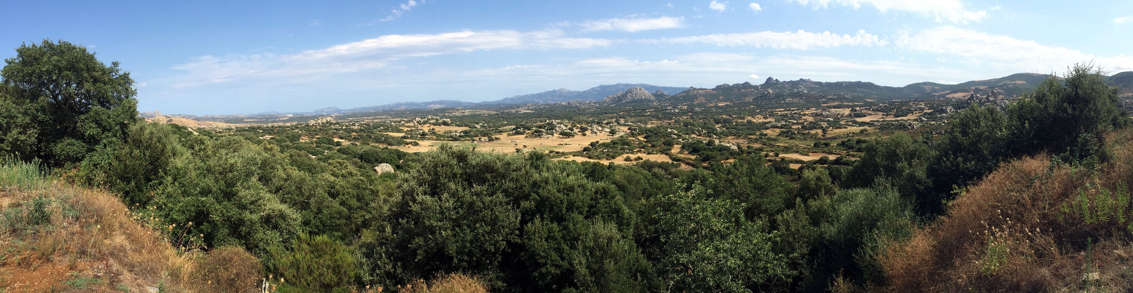 Valle della Luna (Aggius).