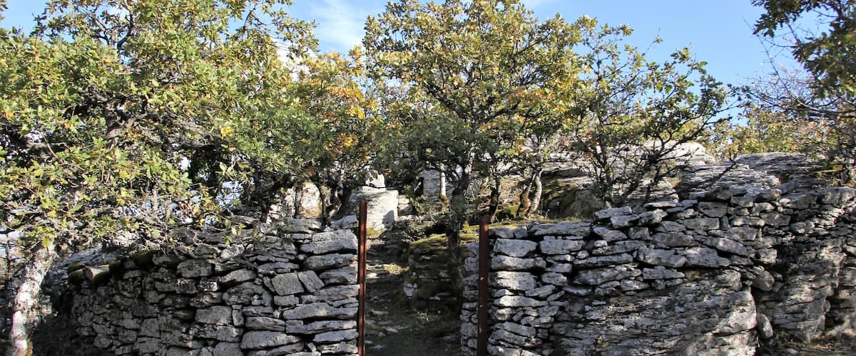 Bolotana, tomba di Gerald Piercy