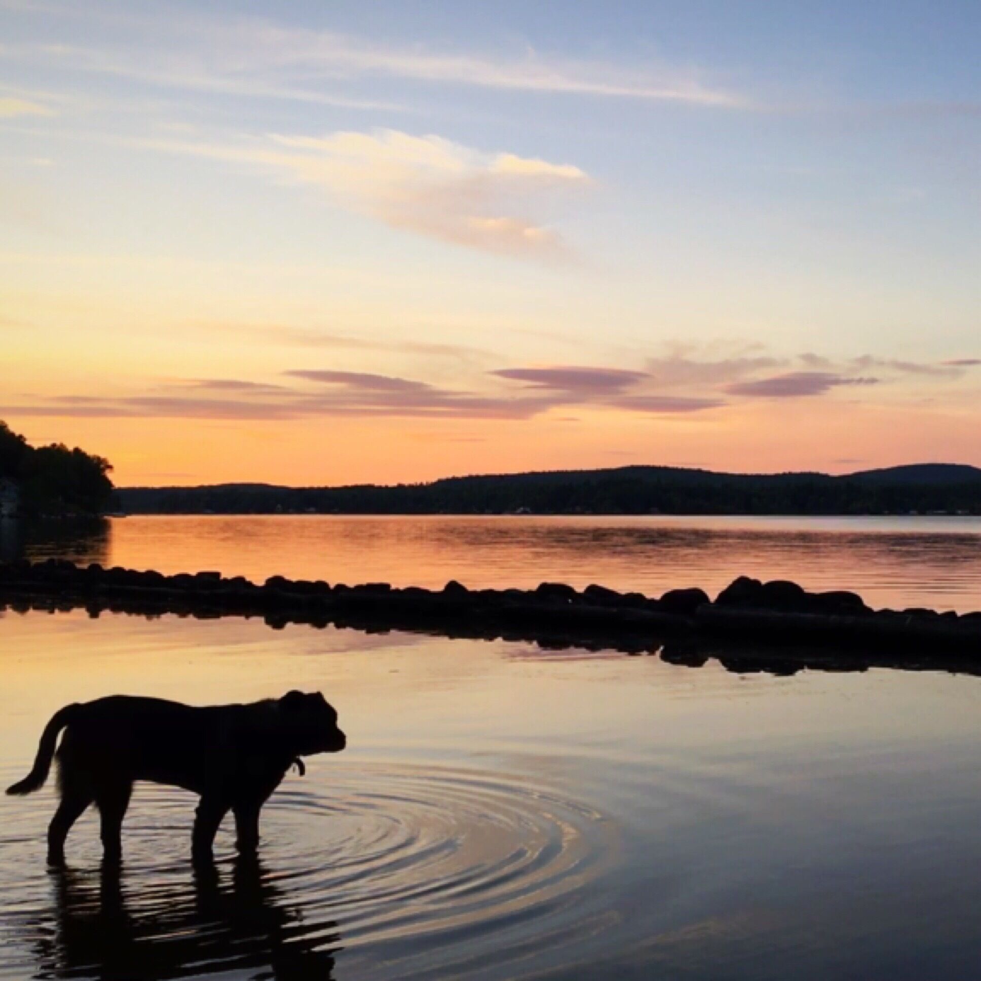 Northwood Lake
New Hampshire