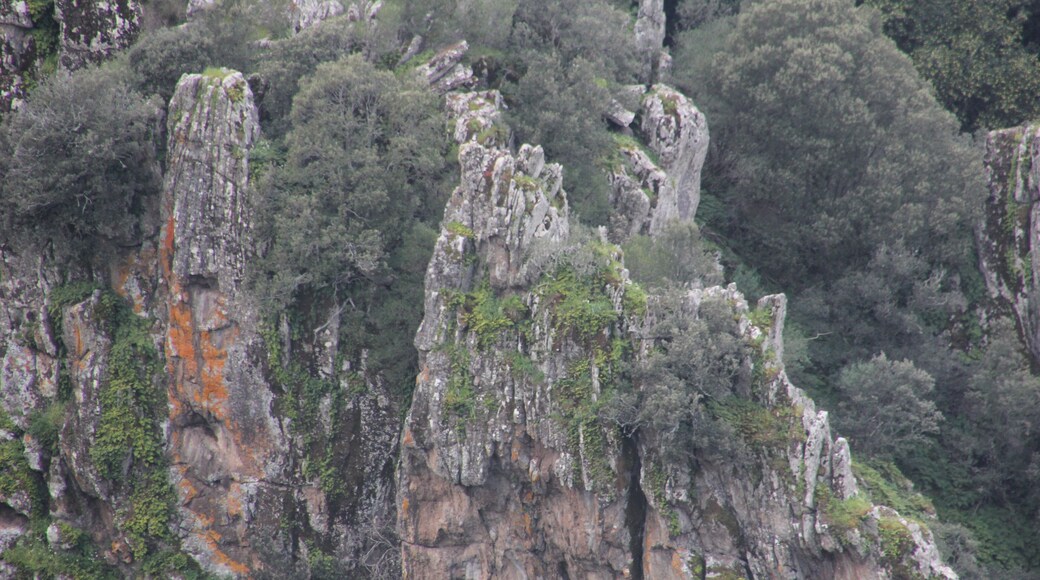 Santu Lussurgiu, dintorni