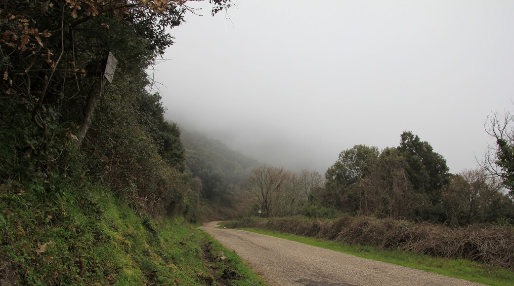 Santu Lussurgiu, dintorni