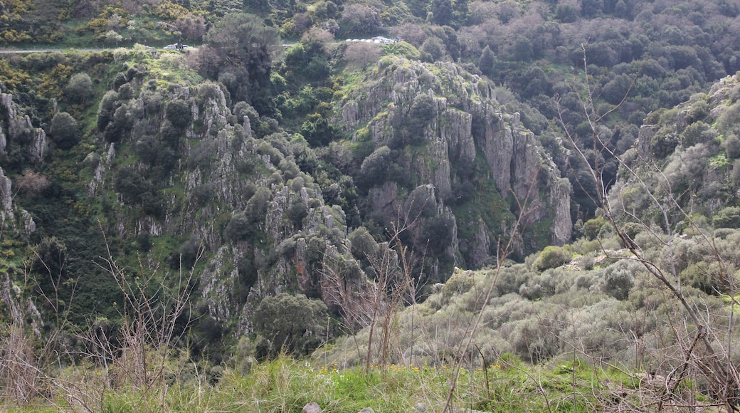 Santu Lussurgiu, dintorni