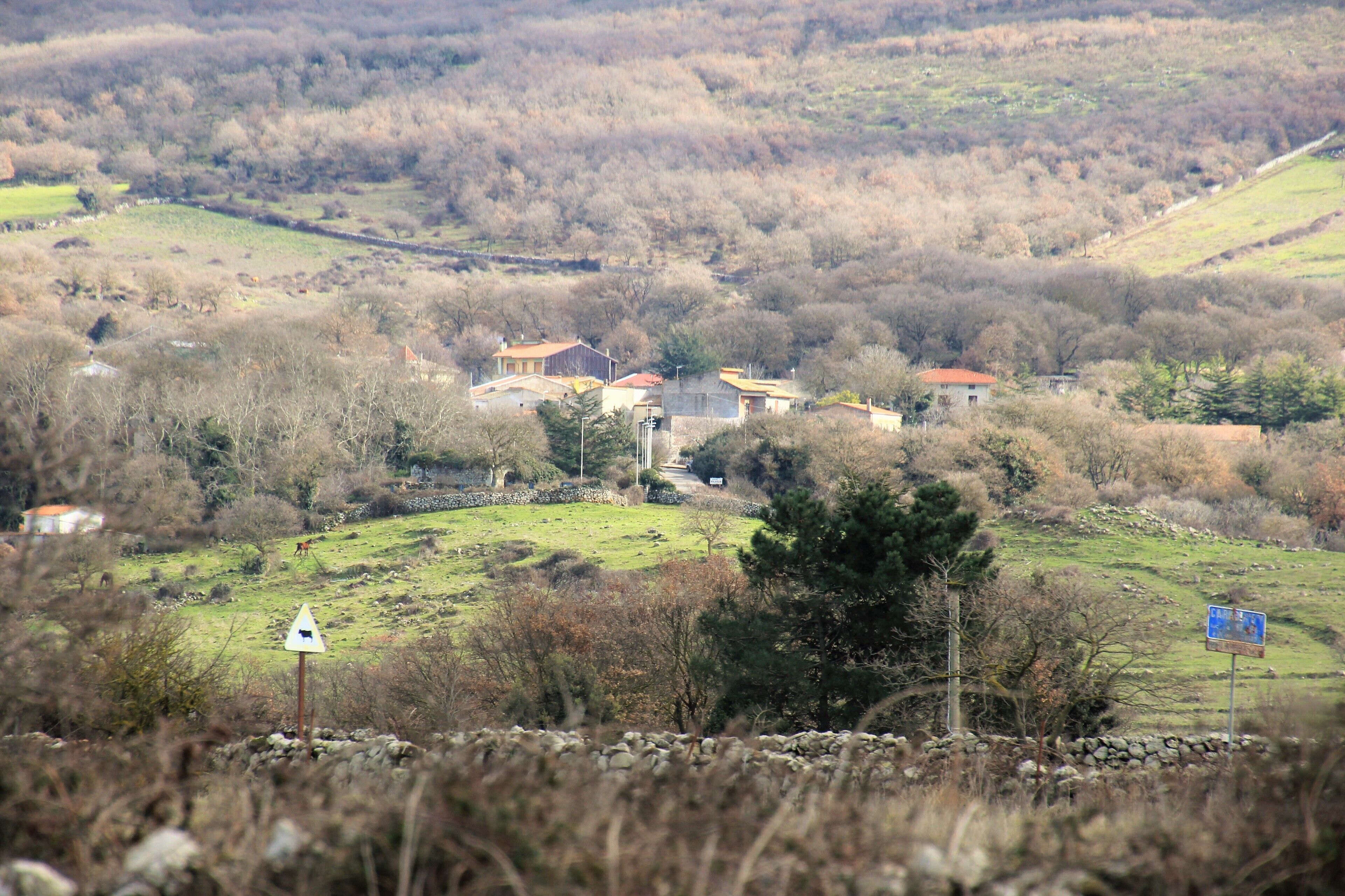 A rural landscape with houses, stone walls, and a signpost.