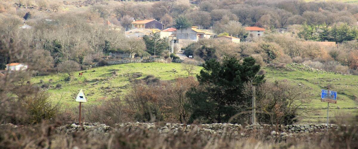 A rural landscape with houses, stone walls, and a signpost.