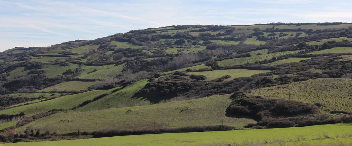 Osilo, monte Corona Ruja