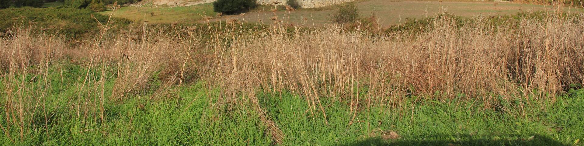 Ittiri - Chiesa di San Leonardo di Cuga