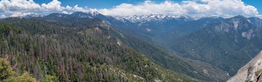 Un paysage montagneux, avec de vastes forêts et des sommets enneigés, sous un ciel partiellement nuageux.