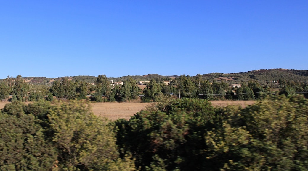 Perfugas, frazione Sa Contreddas