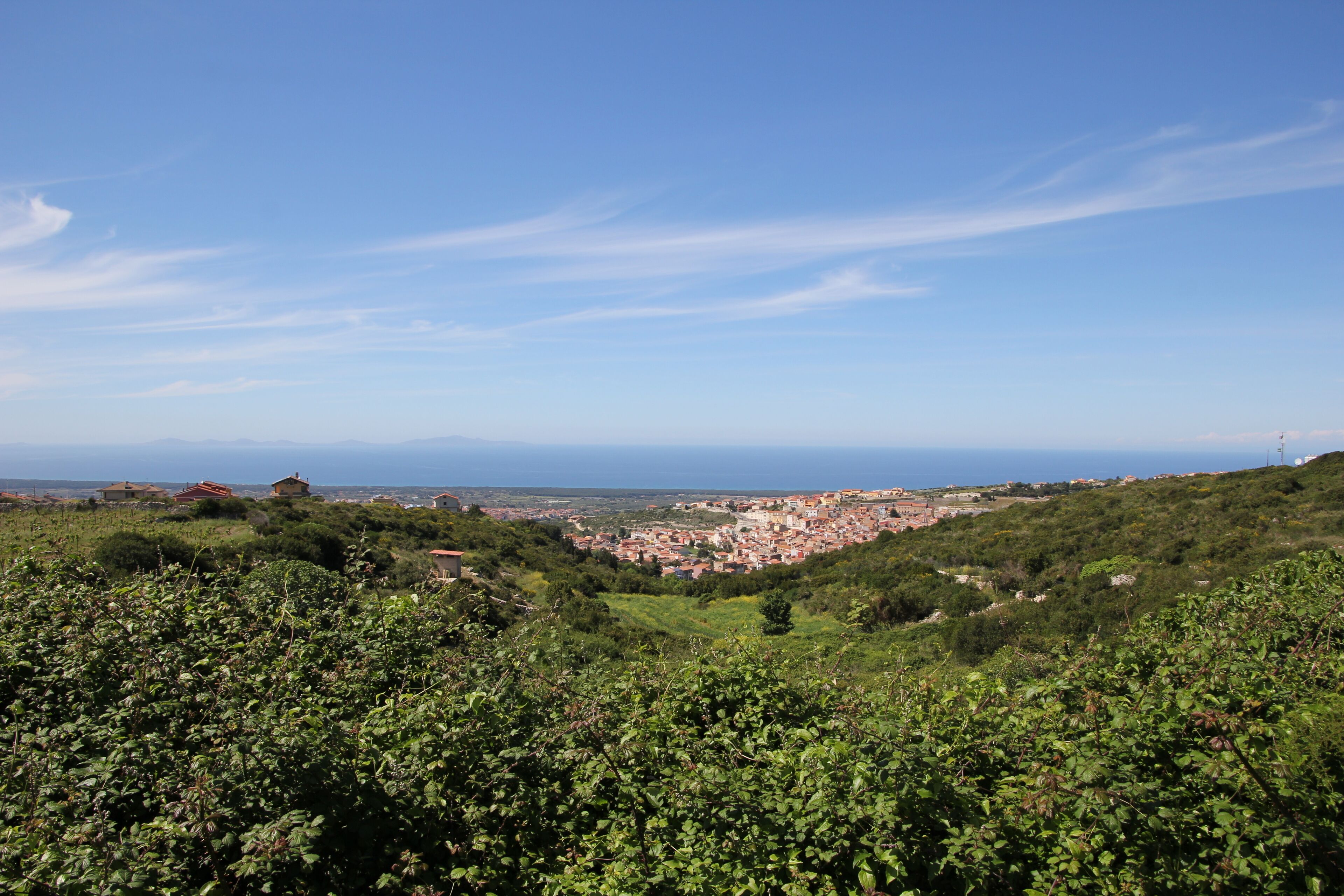 A hillside with dense green vegetation in the foreground and a town in the background under a clear blue sky.