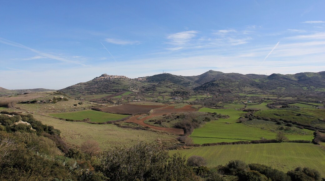 Osilo, monte Tuffudesu