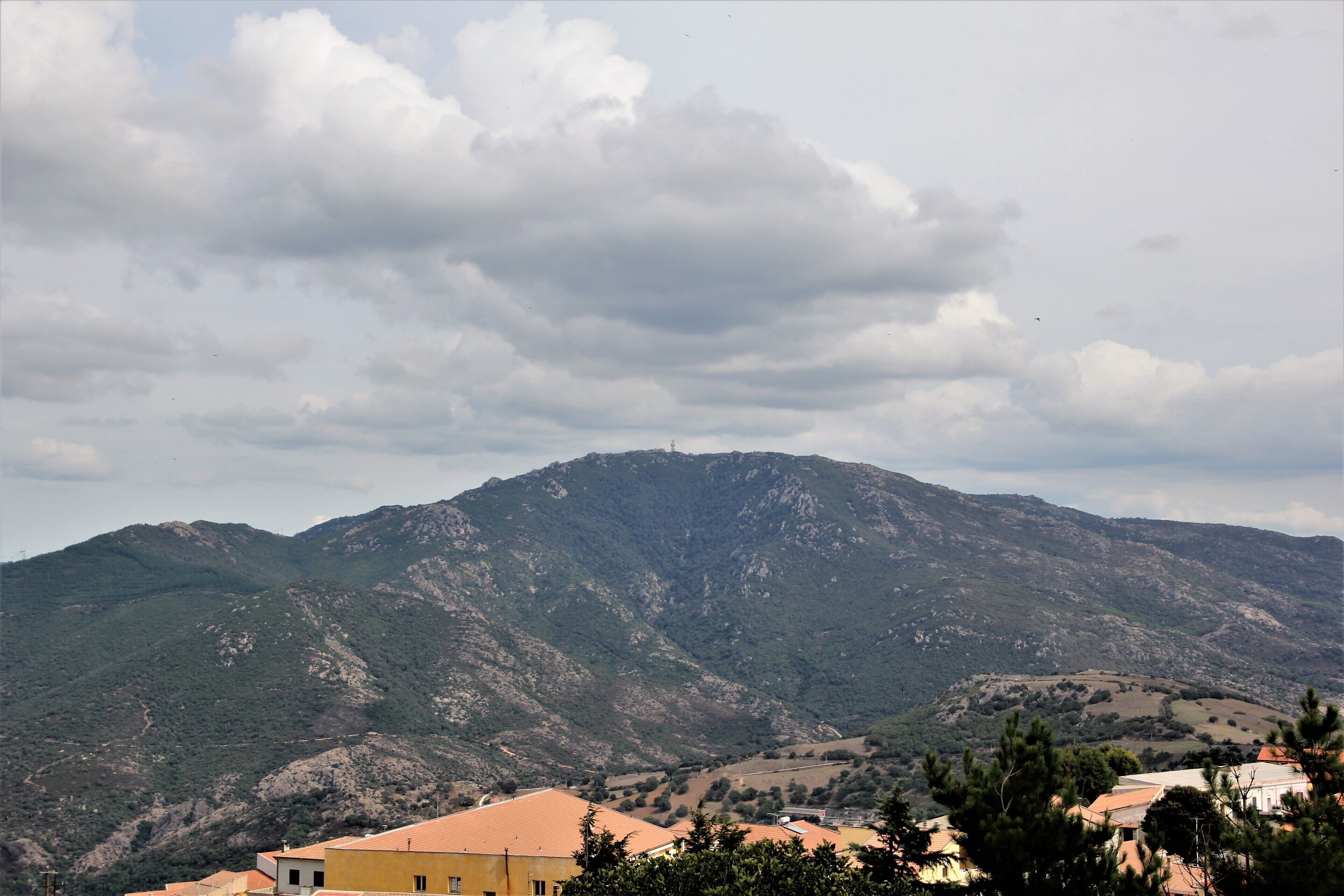 Pattada - Monte Lerno