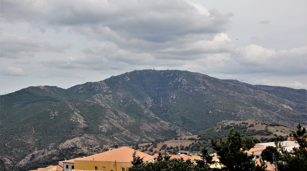 Pattada - Monte Lerno