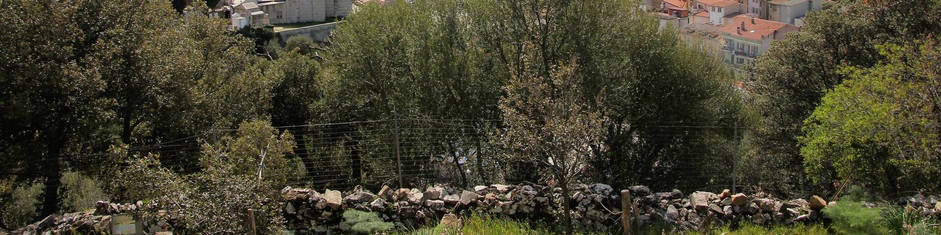 Nughedu San Nicolò, panorama