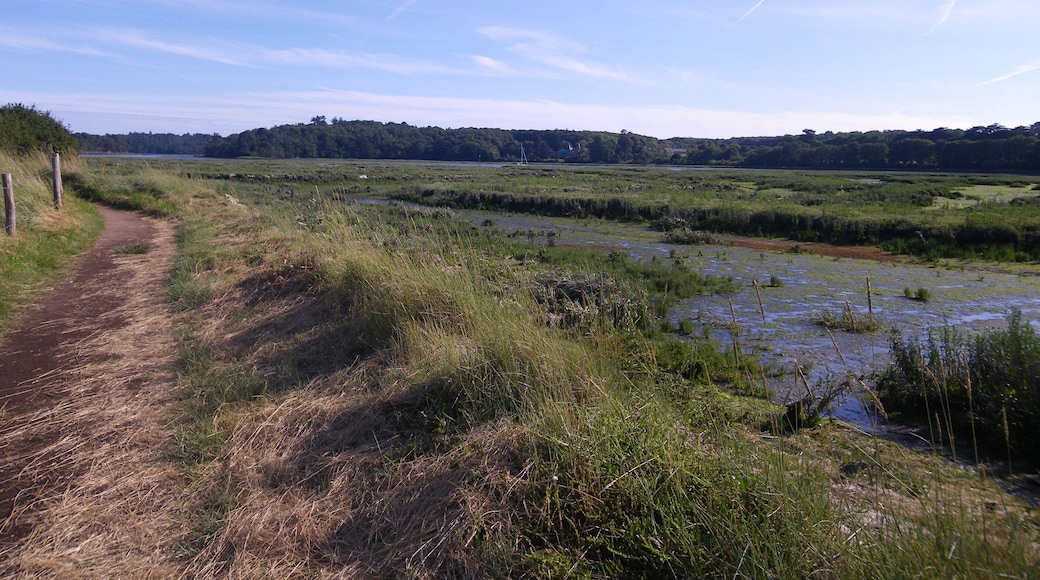 les rives du loch a auray