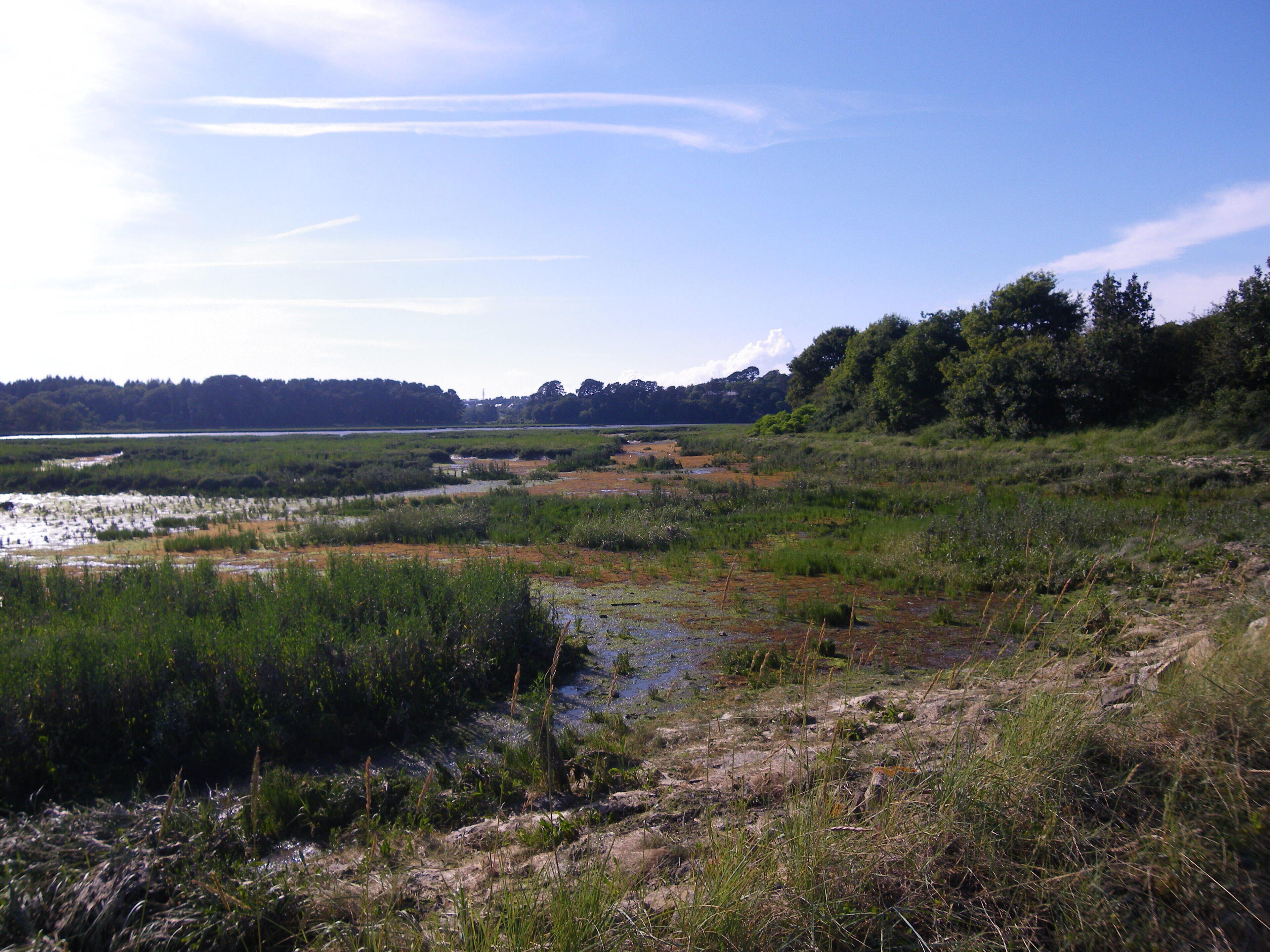 les rives du loch a auray