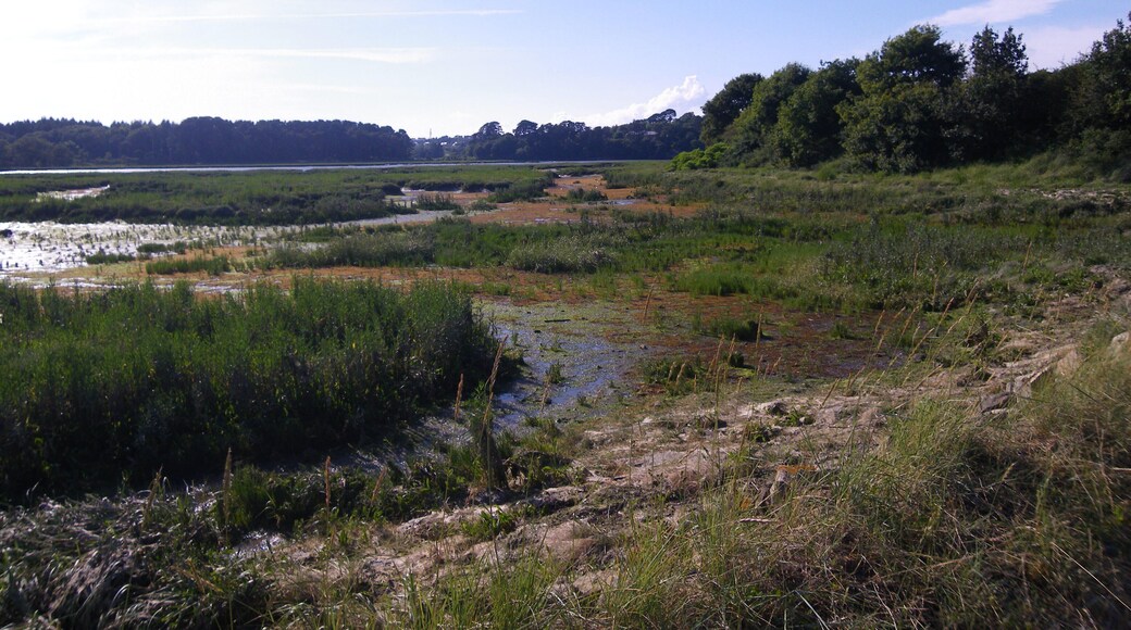 les rives du loch a auray