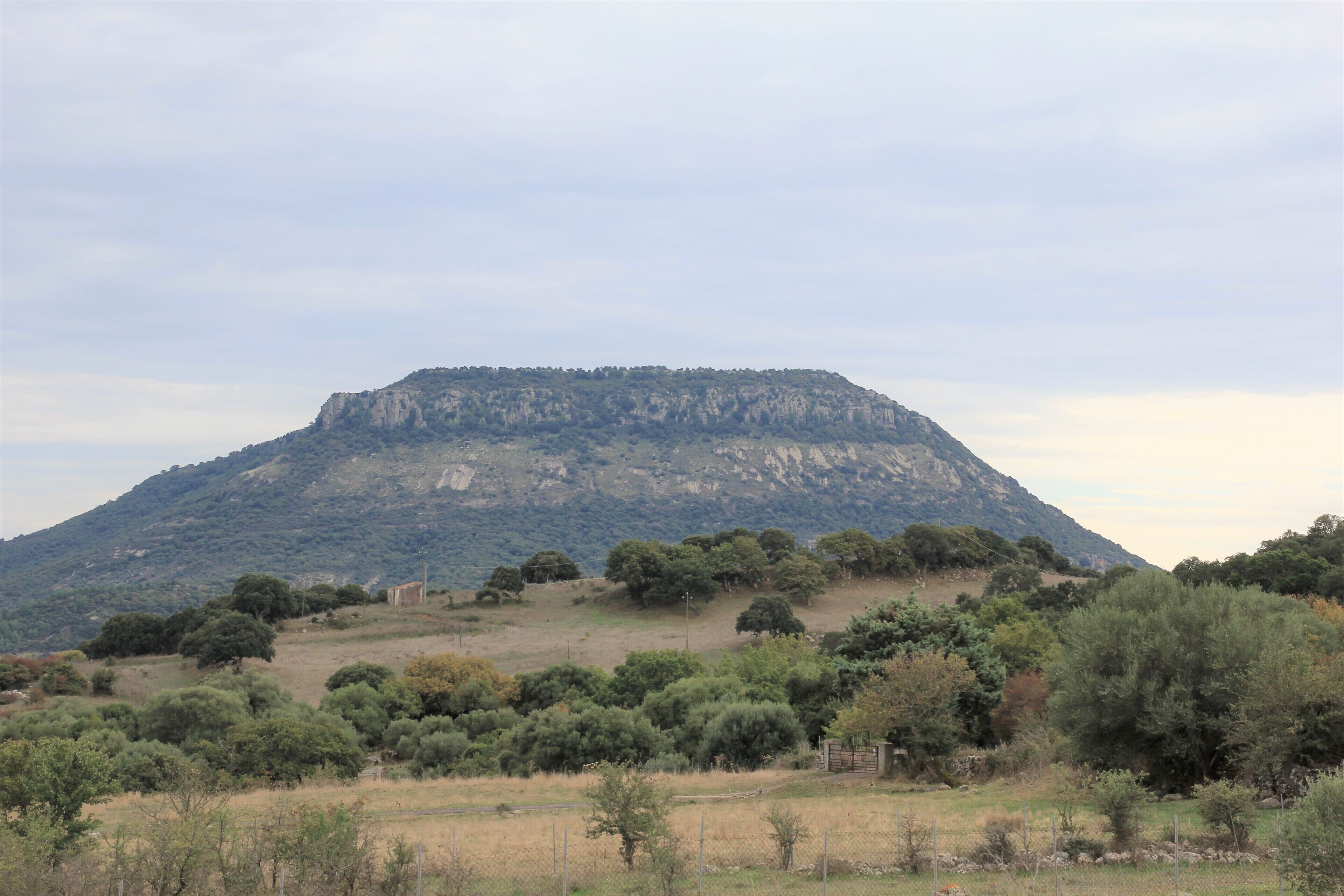 Villanova Monteleone, monte Minerva