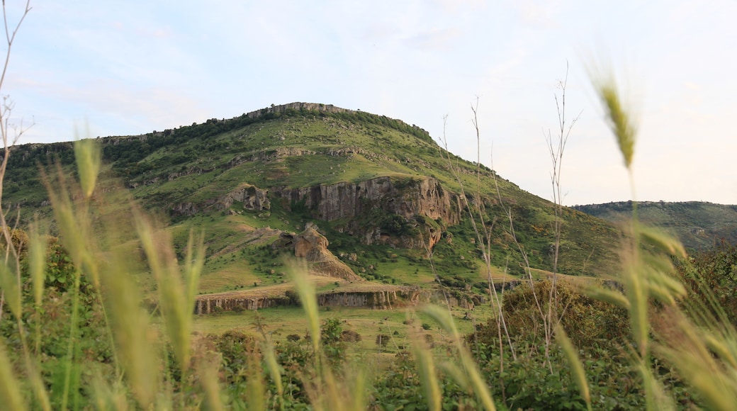 Thiesi - Monte Ruzzunis