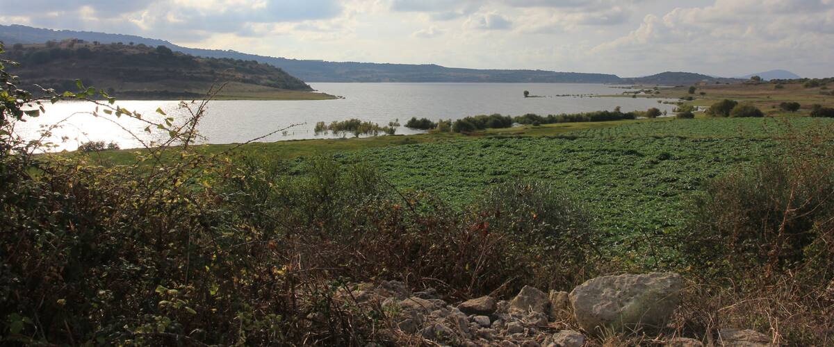 A lake surrounded by hills and greenery.