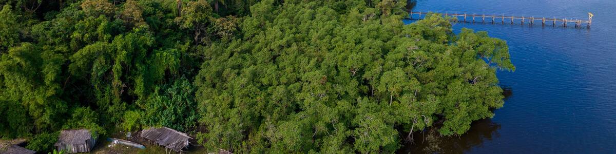 Aerial view of the city of Cananéia. Mangrove and sea at Ilha do Cardoso state park